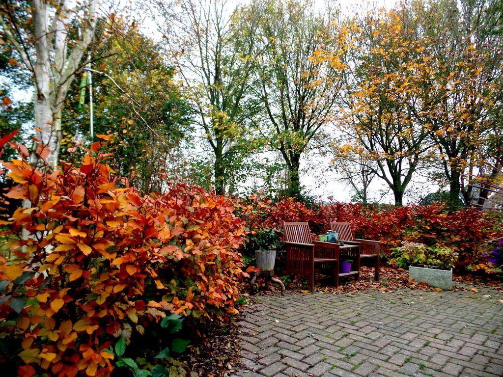 Bed En Breakfast De Pauw Wieringerwaard Dış mekan fotoğraf