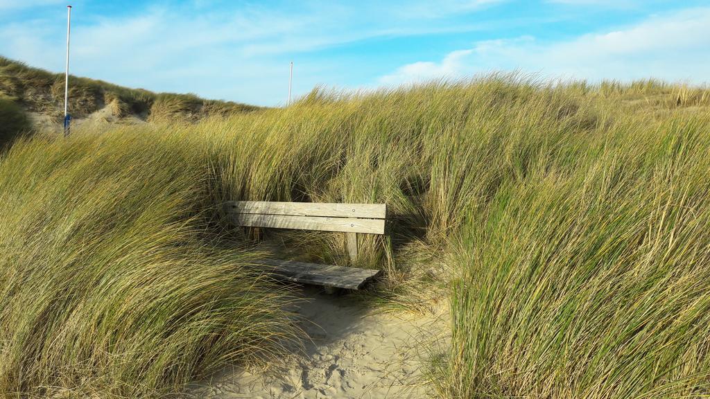 Bed En Breakfast De Pauw Wieringerwaard Dış mekan fotoğraf