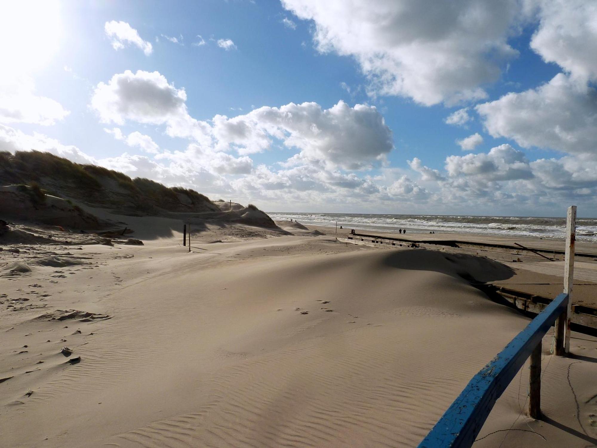 Bed En Breakfast De Pauw Wieringerwaard Dış mekan fotoğraf
