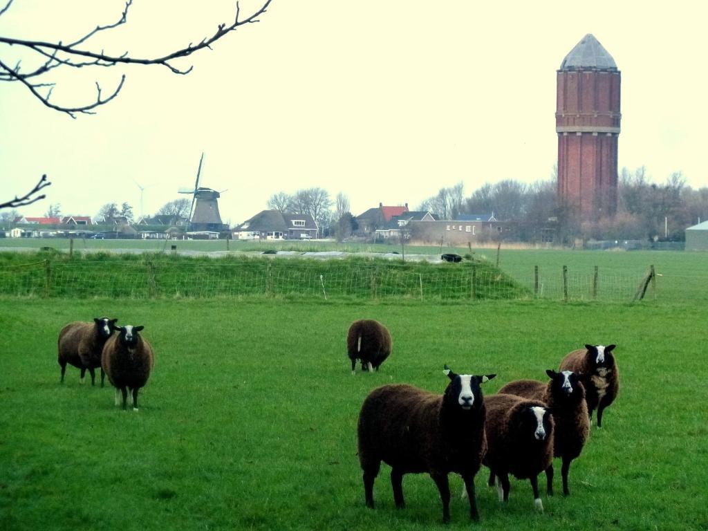 Bed En Breakfast De Pauw Wieringerwaard Oda fotoğraf