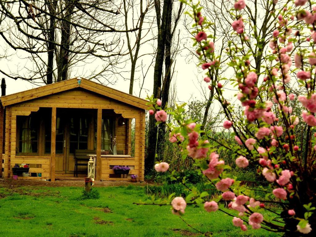 Bed En Breakfast De Pauw Wieringerwaard Oda fotoğraf